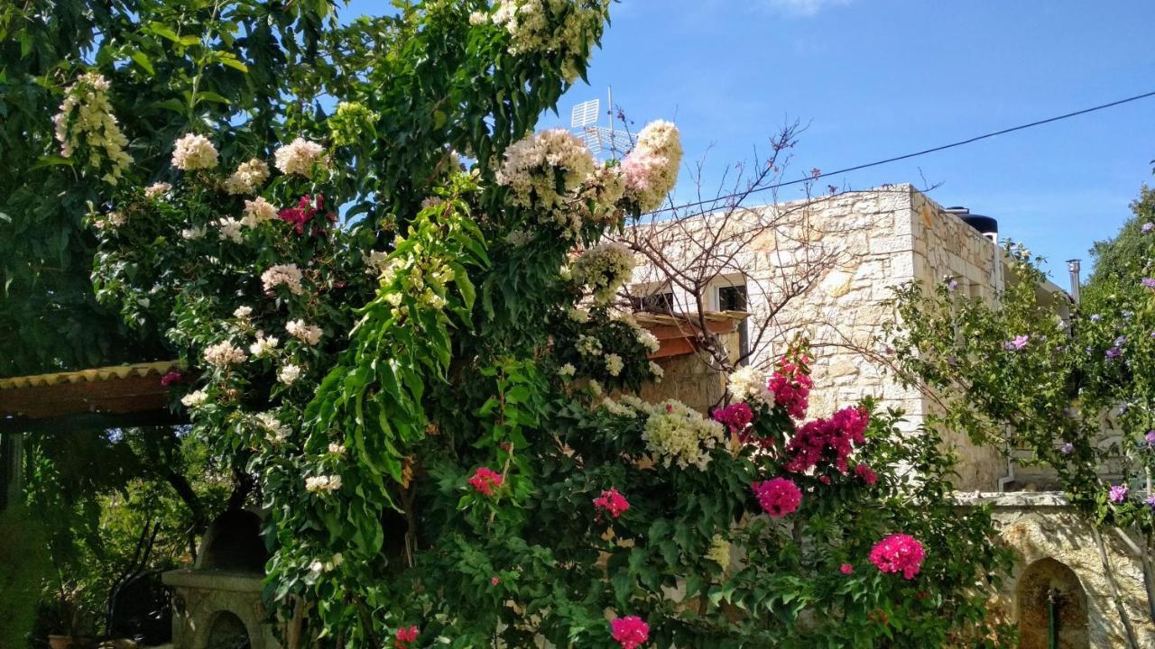 Villa Vera Sivota  Bagian luar foto